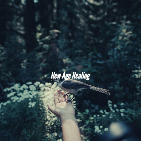 New Age Healing - Office Music Experts