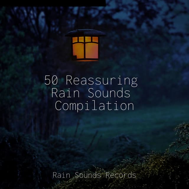 50 Reassuring Rain Sounds Compilation - Naturaleza Sonidos