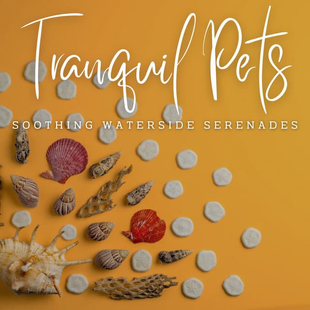 Paws and Waves: Ambient Music for Tranquil Pets - Christian Instrumental Guitar Music