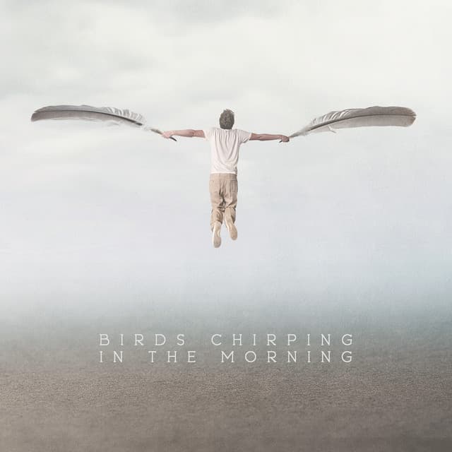 Birds Chirping in the Morning: Sound Effect & Relaxing Music Compilation - Serenity Music Relaxation