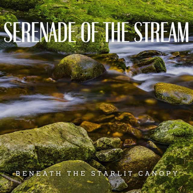 Serenade of the Stream: Waterside Slumber - River Dreams Catalog