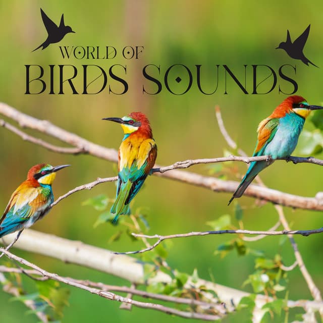 World of Birds Sounds: Amazing Collection of Singing Birds, Relaxing Bird Songs, Nature Sounds - Calm Singing Birds Zone