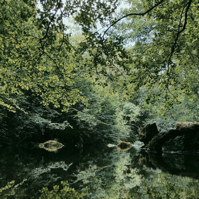 Meditation - Meditation Academy