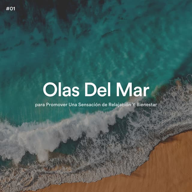 #01 Olas Del Mar para Promover Una Sensación de Relajación Y Bienestar - Olas del Mar