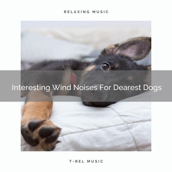 Interesting Wind Noises For Dearest Dogs - Dog Relax