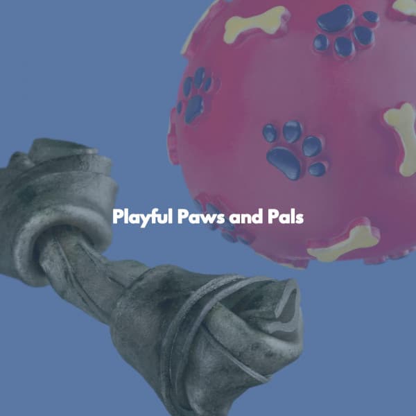 Playful Paws and Pals - Cozy Coffee Shop Jazz