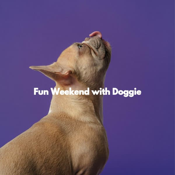 Fun Weekend with Doggie - Soft Jazz Relaxation