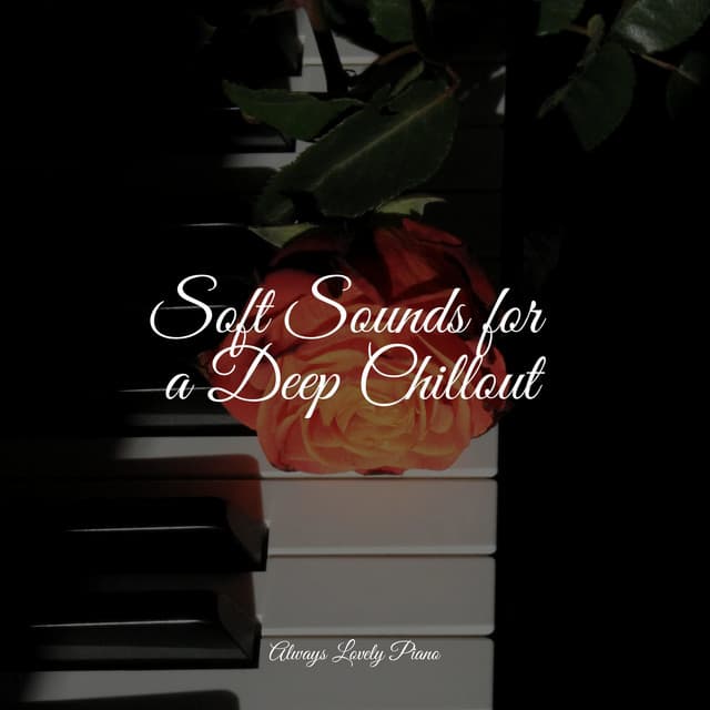 50 Tranquil Songs for Peace & Tranquility - Relaxed Minds