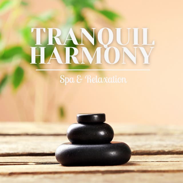 Tranquil Harmony: Relaxing Massage Music - Spa & Relaxation