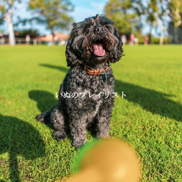 いぬのプレイリスト - Sunday Morning Jazz Vibes