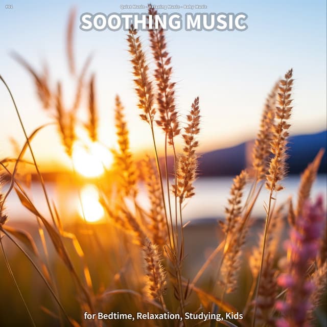 #01 Soothing Music for Bedtime, Relaxation, Studying, Kids - Quiet Music