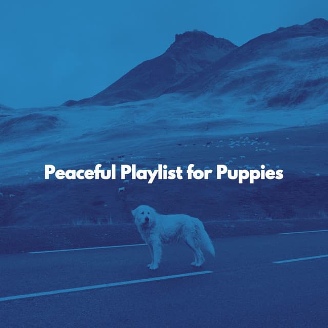 Peaceful Playlist for Puppies - Musica para Hoteles De Lujo