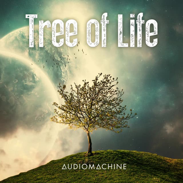Tree of Life - Audiomachine