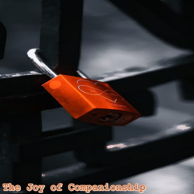 The Joy of Companionship - Beats De Rap