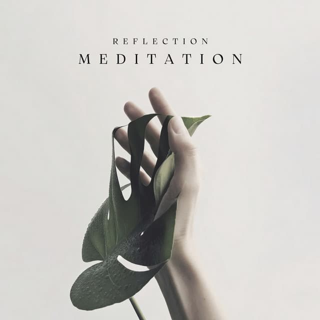 Reflection - Meditation