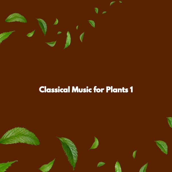 Musique Relaxante Classiques