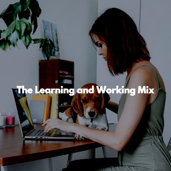 The Learning and Working Mix - Cafe Jazz