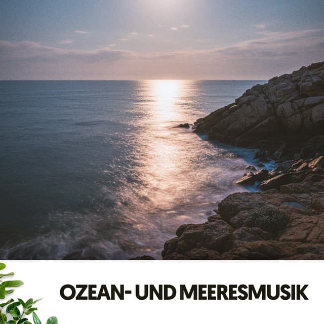 Ozean- und Meeresmusik: Gezeiten - Cat Music