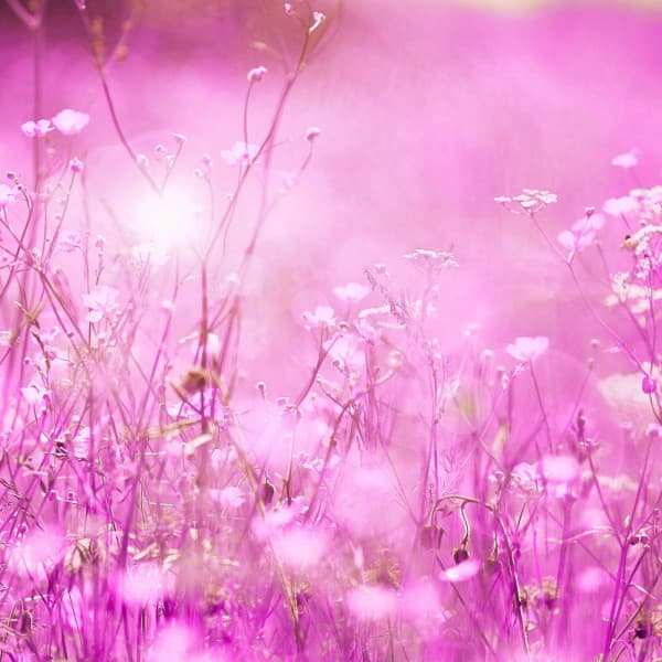 Music for Studying Legends - Divine Piano Duo - Smoothe Sounds