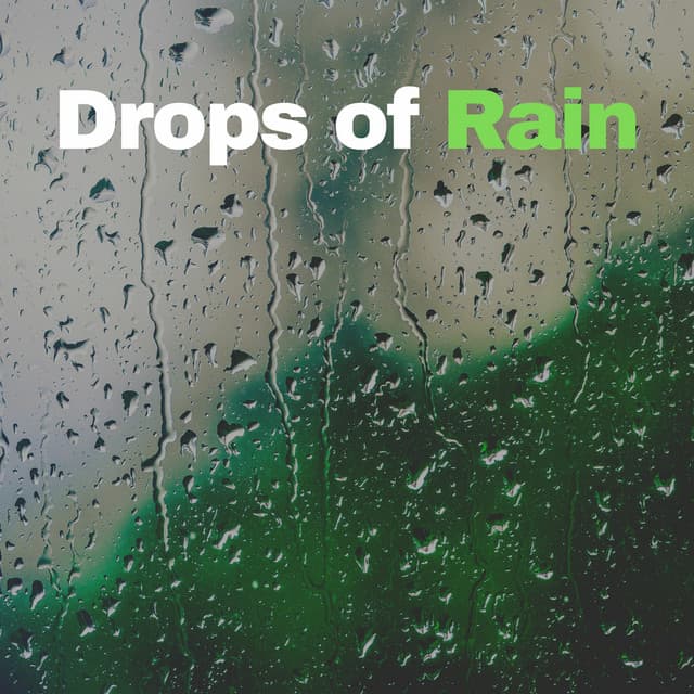 Drops of Rain - Raindrops Sleep