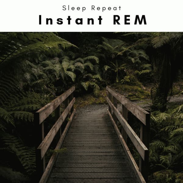 2022 Instant REM - Sleep Repeat