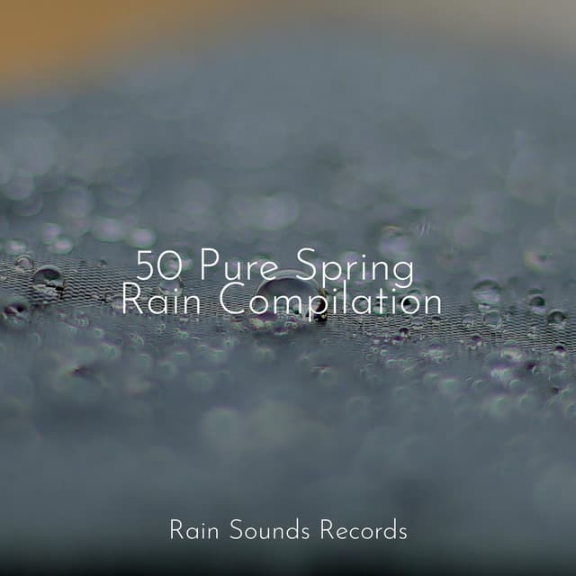 50 Pure Spring Rain Compilation - Sleep Sound Library