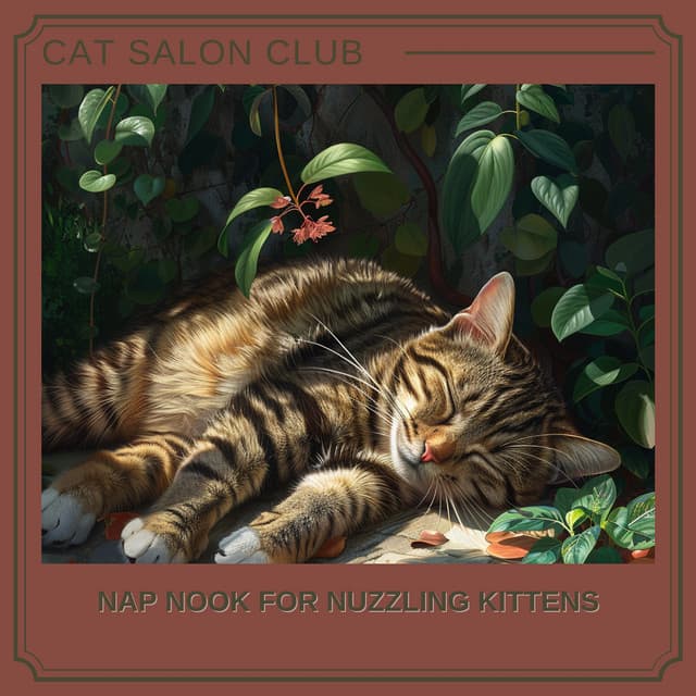 Nap Nook for Nuzzling Kittens - Cat Salon Club