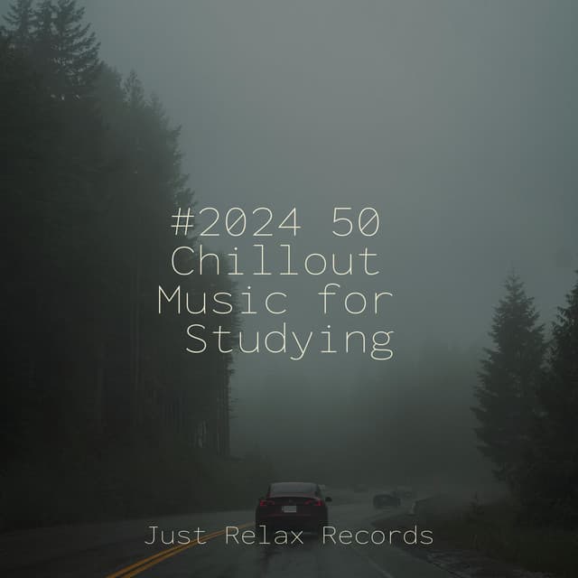 #2024 50 Chillout Music for Studying - Nature Sound Collection