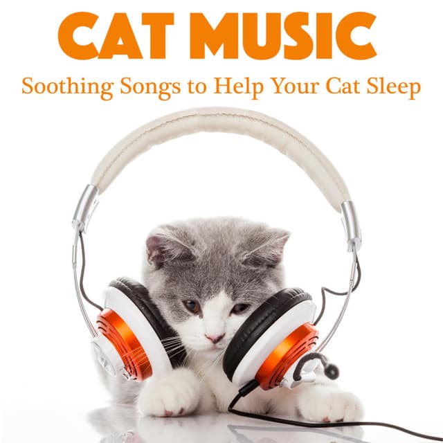 Cat Music: Soothing Songs to Help Your Cat Sleep - RelaxMyCat