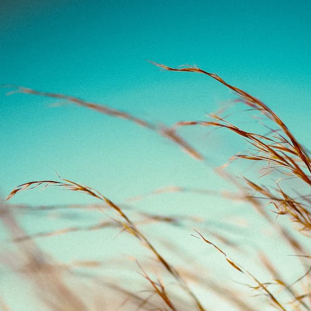 10 Waves: An Oasis Of Relaxing Waves - between waves