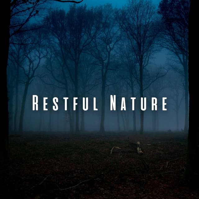 Restful Nature: Insects and Himalayan Bowl for Sleep - Himalaya Nature