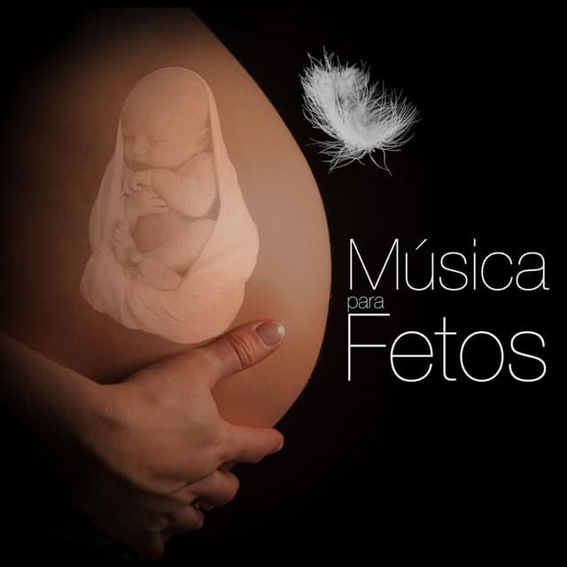 Musica Relajante Piano Master