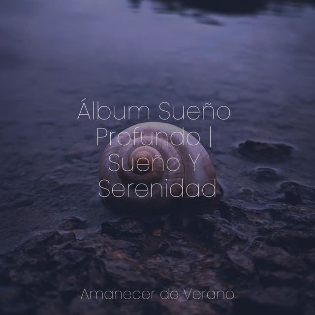 Álbum Sueño Profundo | Sueño Y Serenidad - Naturaleza Sonidos