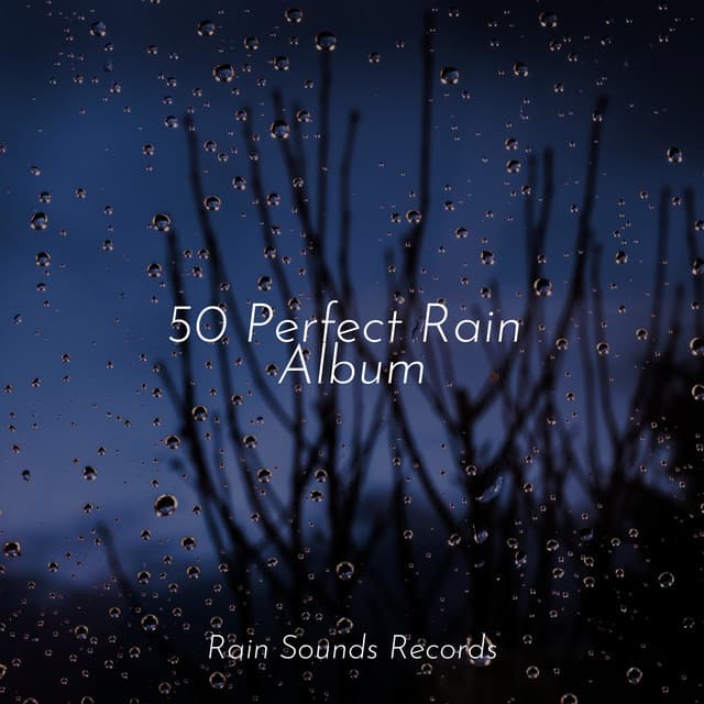 50 Perfect Rain Album - Lucid Dreaming Music