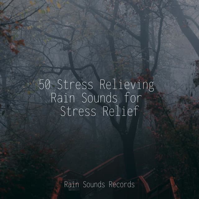 50 Stress Relieving Rain Sounds for Stress Relief - Lightning, Thunder and Rain Storm