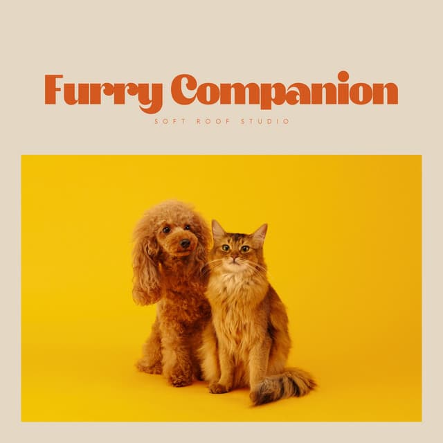 Furry Companion - Reiki for Animals