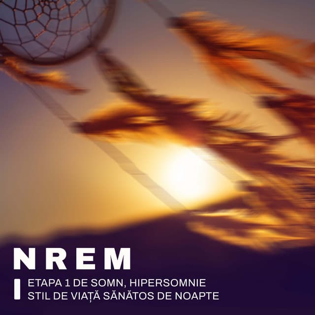 NREM Etapa 1 de Somn, Hipersomnie, Stil de Viață Sănătos de Noapte - Deep Sleep Maestro Sounds