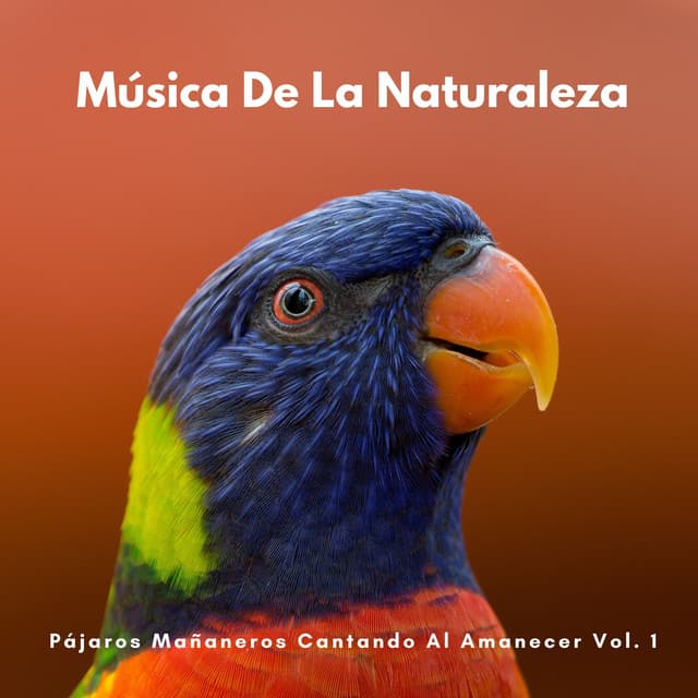 Música De La Naturaleza: Pájaros Mañaneros Cantando Al Amanecer Vol. 1 - Pájaros del Bosque