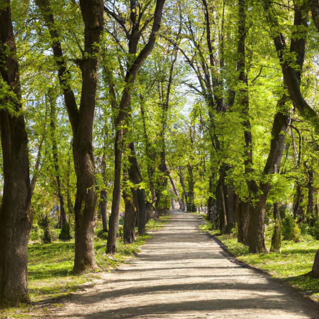 ! ! ! ! Timeless Beauty - Música Relajante