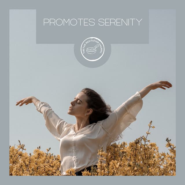 Promotes Serenity - Tibetan Meditation Channel