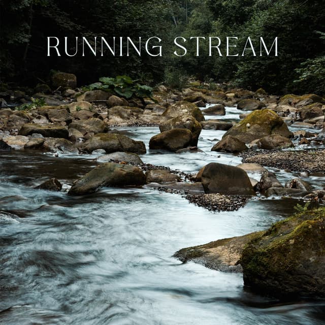 Running Stream - Tom Barkes