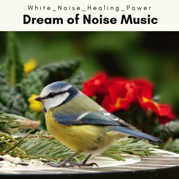 A Dream of Noise Music - White Noise Healing Power