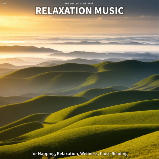 #01 Relaxation Music for Napping, Relaxation, Wellness, Close Reading - Wellness
