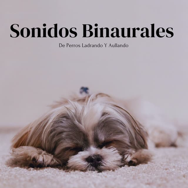 Sonidos Binaurales De Perros Ladrando Y Aullando - Soluciones de ritmos binaurales