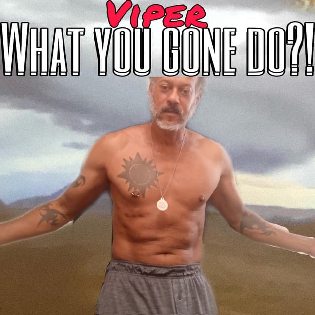 What You Gone Do?! - Viper