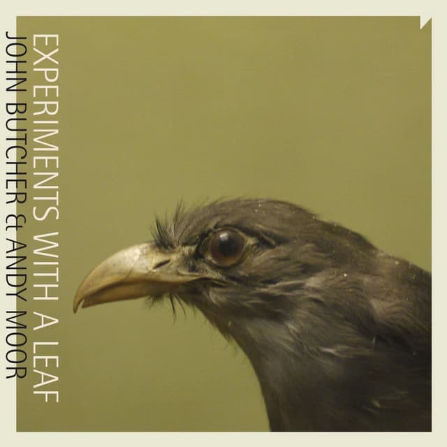 Experiments With a Leaf - John Butcher