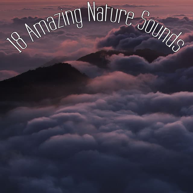 15 Zen Focus Nature Sounds & White Noise Rain - Sounds of Nature White Noise for Mindfulness Meditation and Relaxation