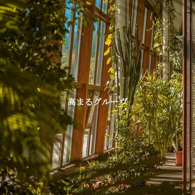 高まるグルーヴ - Classic Bosas Nova Radio