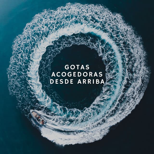 Gotas Acogedoras Desde Arriba - Colmena de Lluvia