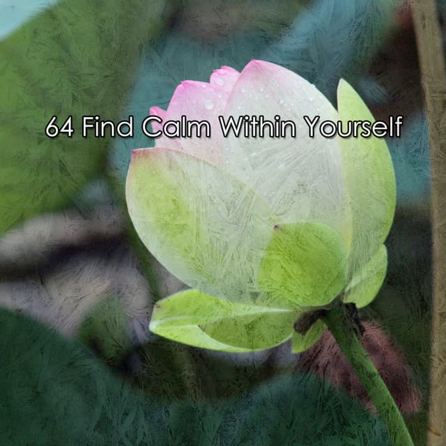 64 Find Calm Within Yourself - White Noise Meditation